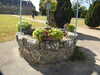 20200803155624-DSCN3381.JPG