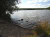 20200803160310-DSCN3385.JPG