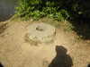 20200803160555-DSCN3389.JPG