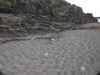 20200804204803-DSCN3408.JPG