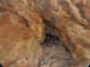 20200804205012-DSCN3414.JPG