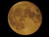 20200804221825-DSCN3435.JPG