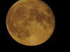 20200804221840-DSCN3436.JPG