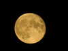 20200804221905-DSCN3438.JPG
