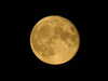 20200804221914-DSCN3439.JPG