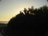 20200805200730-DSCN3443.JPG