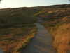 20200805200944-DSCN3447.JPG