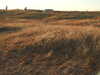 20200805201529-DSCN3457.JPG