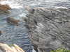 20200805202003-DSCN3466.JPG