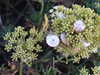 20200805211216-DSCF5148.JPG