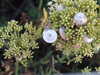20200805211230-DSCF5150.JPG
