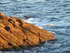 20200805212450-DSCF5155.JPG