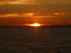 20200805213823-DSCF5169.JPG