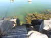 20200806170003-DSCN3507.JPG