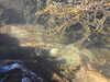 20200806170025-DSCN3508.JPG