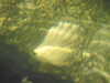 20200806170030-DSCN3509.JPG