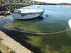 20200806170704-DSCN3519.JPG