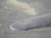 20200806170720-DSCN3521.JPG