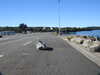 20200806171057-DSCN3524.JPG