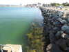 20200806171134-DSCN3525.JPG
