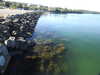 20200806171152-DSCN3526.JPG