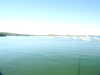 20200806171155-DSCN3527.JPG