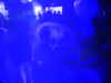20200807083942-DSCN3532.JPG