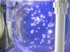 20200807084020-DSCN3534.JPG