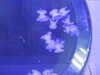 20200807084042-DSCN3536.JPG