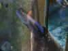 20200807084137-DSCN3539.JPG