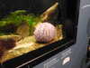 20200807084250-DSCN3542.JPG