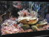 20200807084404-DSCN3547.JPG