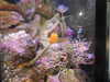 20200807084436-DSCN3549.JPG