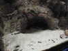 20200807084502-DSCN3550.JPG