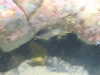 20200807084525-DSCN3551.JPG