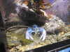 20200807084537-DSCN3553.JPG