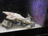 20200807084552-DSCN3554.JPG