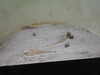 20200807084600-DSCN3555.JPG