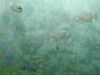 20200807084635-DSCN3556.JPG