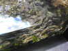 20200807084719-DSCN3558.JPG