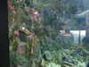 20200807084827-DSCN3559.JPG
