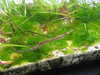 20200807085041-DSCN3561.JPG