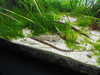 20200807085048-DSCN3562.JPG