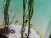 20200807085111-DSCN3563.JPG