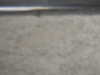 20200807085134-DSCN3565.JPG