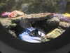 20200807085304-DSCN3567.JPG