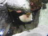 20200807085318-DSCN3568.JPG
