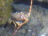 20200807085333-DSCN3569.JPG