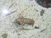 20200807085345-DSCN3570.JPG