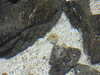 20200807085402-DSCN3571.JPG